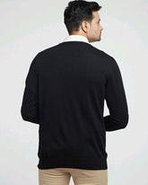 Merino Wool V-Neck Pullover For Men